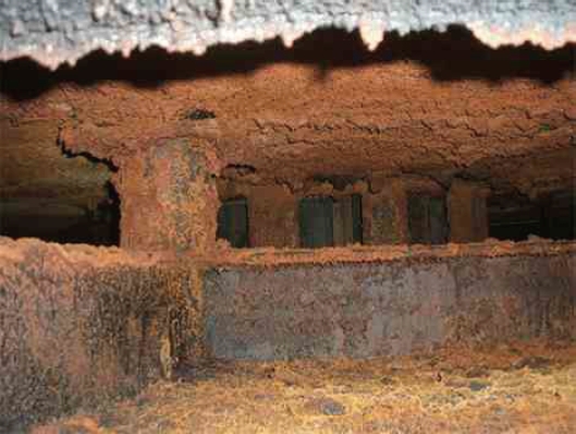 育暢環(huán)保,單筒式多閥門(mén)RTO,RTO改造,VOCs有機(jī)廢氣處理 育暢環(huán)保,單筒式多閥門(mén)RTO,RTO改造,VOCs有機(jī)廢氣處理